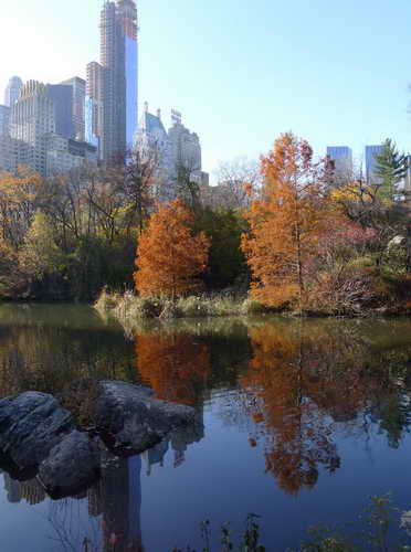 NYC_2012-11-22 13-21-33_P1070537